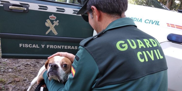 Investigan penalmente a un vecino de Gondomar por maltratar a su perra