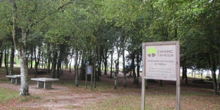 O PP non contempla expropiar monte en Tameiga para o centro comercial do Celta