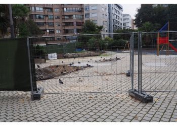 Palomas en el parque