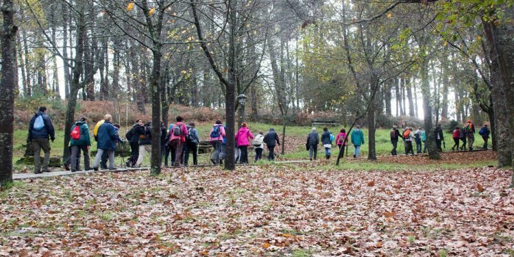 Camiño a Camiño propón unha ruta polo sendeiro de Beade-Bembrive