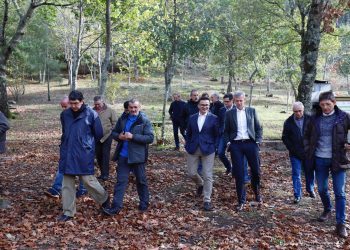 Más de 1,3 millones para recuperar el monte quemado en la mancomunidad de Vigo