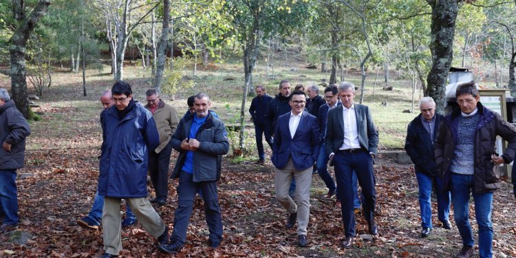 Más de 1,3 millones para recuperar el monte quemado en la mancomunidad de Vigo