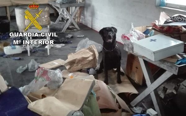 Tui acometerá o desentullo de Paramos en xaneiro se así o aproba o Pleno Municipal