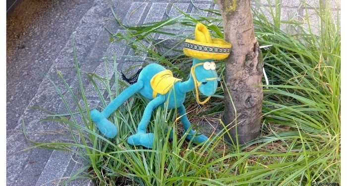 Caballito mexicano
