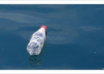 Compromiso ecológico