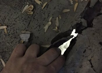 El Concello dice que «la seguridad es total» en Marcador