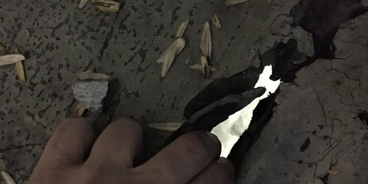 Caballero insiste en que Marcador é seguro esgrimindo dous informes técnicos