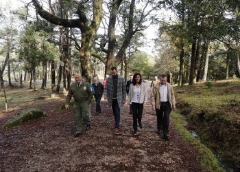 Medio Ambiente restrinxirá o paso en varias zonas do Monte Aloia