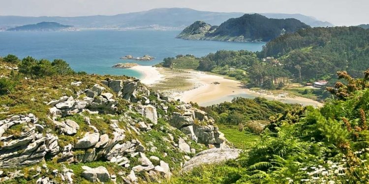 O Parque Nacional das Illas Atlánticas ensaia con éxito o seguimento remoto do corvo mariño