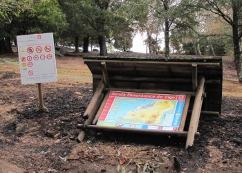 1.500 árbores para reforestar en Vigo as “zonas cero” dos lumes de 2017