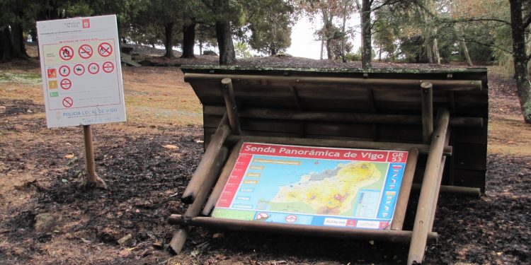 1.500 árbores para reforestar en Vigo as “zonas cero” dos lumes de 2017