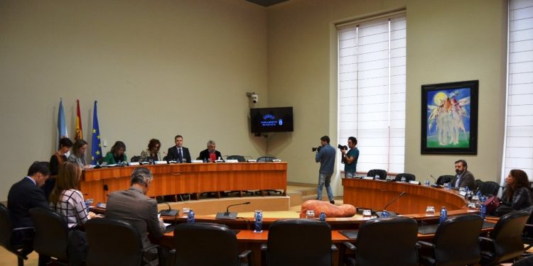 El PP critica la “nula colaboración y el desprecio” de Caballero a la comisión de O Marisquiño