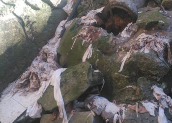 Toalliñas e varas de algodón atascan a rede de saneamento de A Guarda