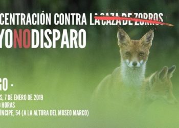 Pacma convoca una concentración en Vigo contra la caza de zorros