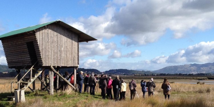 As rutas ornitolóxicas polo esteiro do Miño e A Ramallosa suman a enseada de San Simón