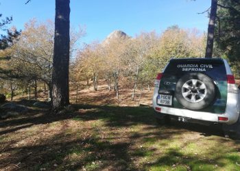La Guardia Civil investiga a dos vecinos de O Porriño por abandonar un perro en el monte