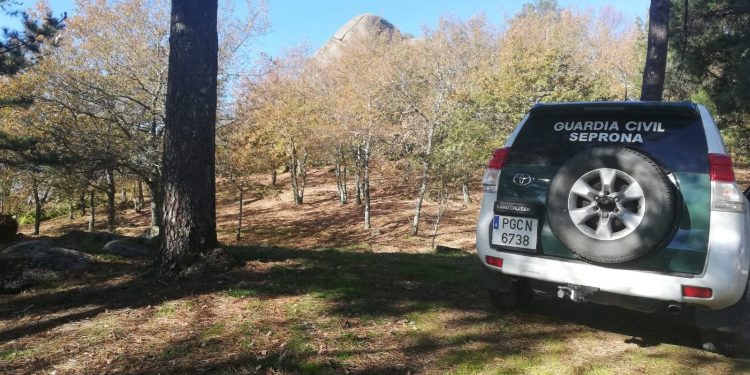 La Guardia Civil investiga a dos vecinos de O Porriño por abandonar un perro en el monte