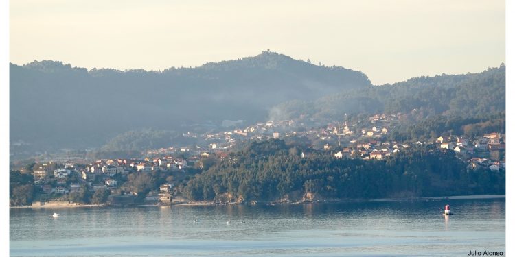 Día de pesca