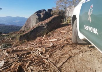 Piden más medios para prevenir casos como la matanza de caballos en Oia