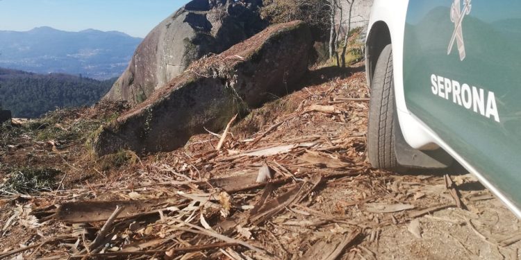 Piden más medios para prevenir casos como la matanza de caballos en Oia