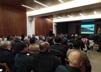 Preocupación nos montes veciñais pola ampliación do bloqueo das vendas por culpa do nematodo