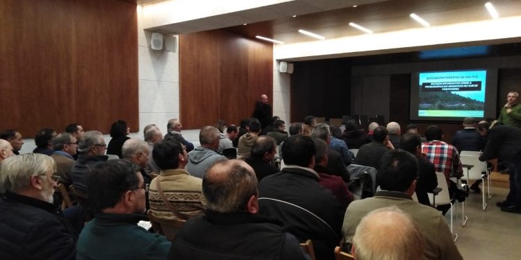 Preocupación nos montes veciñais pola ampliación do bloqueo das vendas por culpa do nematodo