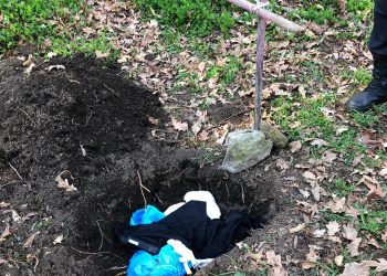 Aparecen en Moaña restos de un ritual de santería que simulaban la tumba de un niño