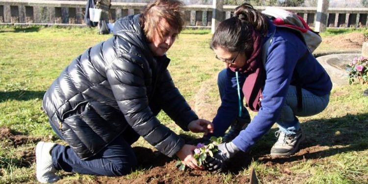 Voluntarios plantan 8.500 árbores nas Neves dentro do proxecto «Renacer das cinzas»