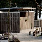 Camping Isla de Ons 2