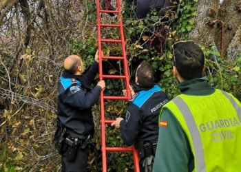 Fallece un hombre en Nigrán al golpearle en la cabeza una rama mientras podaba