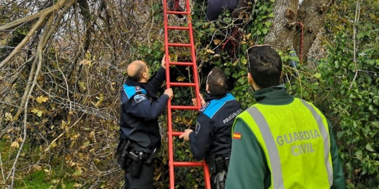 Fallece un hombre en Nigrán al golpearle en la cabeza una rama mientras podaba