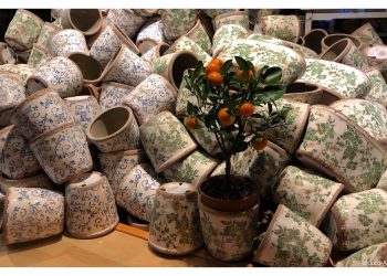 Escaparates originales