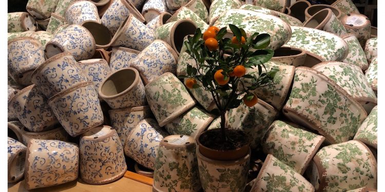 Escaparates originales