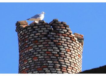 Lo que queda de la chimenea de la Panificadora