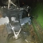 muerto arbo tren puente