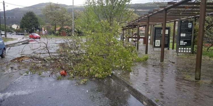 Un tornado causa estragos en Moaña