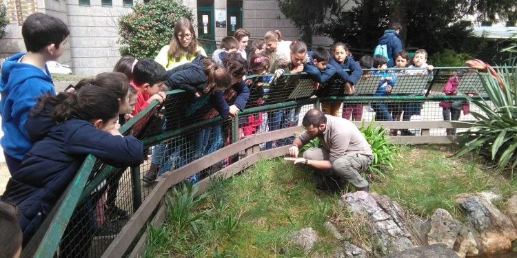 Vigozoo acolle un campamento de Semana Santa para nenos de entre 6 e 12 anos