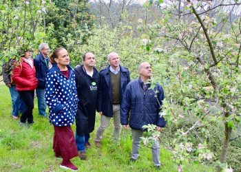 Explosión para os sentidos na “Ruta das Maceiras en Flor”