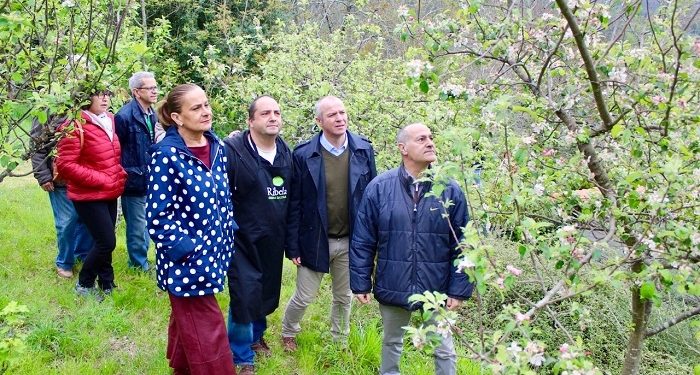 Explosión para os sentidos na “Ruta das Maceiras en Flor”