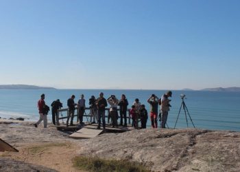 Unha nova ruta de “Voando nas Rías Baixas” chega ata as Brañas de Xestoso