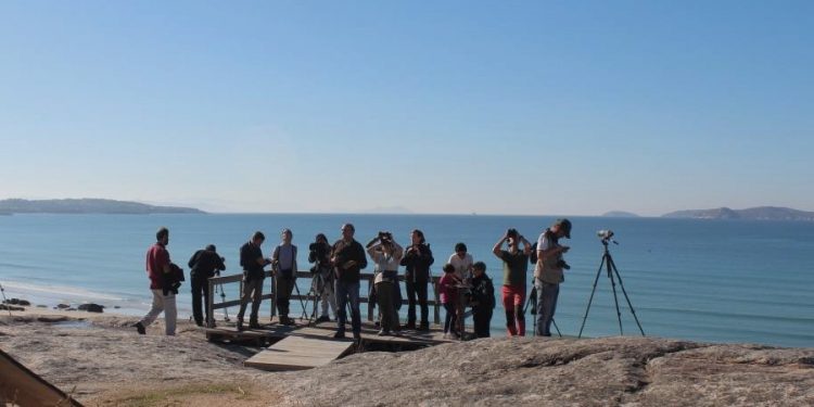 Unha nova ruta de “Voando nas Rías Baixas” chega ata as Brañas de Xestoso