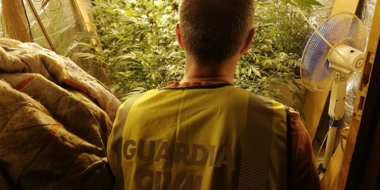 Desmantelan en Baiona la infraestructura de una plantación indoor de marihuana