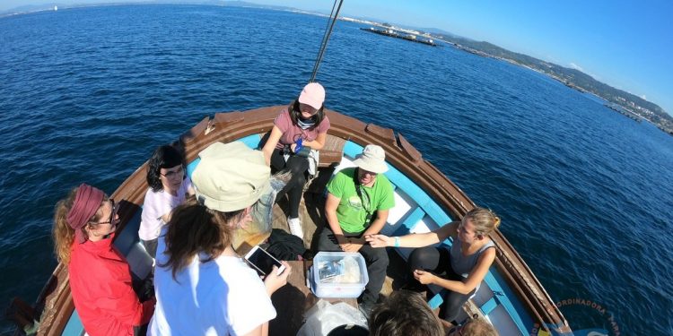 Cemma abre ao público a campaña para monitorizar cetáceos na costa galega