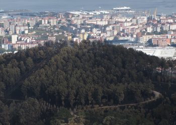 Vigo aproba a delimitación das parcelas que deben xestionar a biomasa forestal