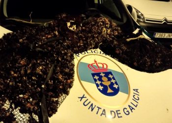 A Policía Autonómica de Vigo decomisa 41 quilos de percebe