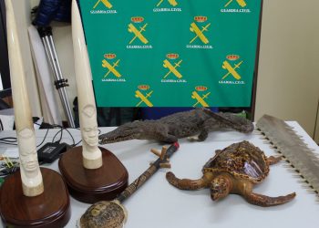 Investigan a cuatro vecinos de Vigo por la venta ilegal de especies protegidas