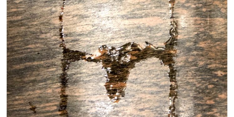 Escarabajo misterioso