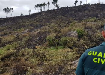 Investigan a un vecino de A Cañiza por un incendio forestal provocado el pasado domingo