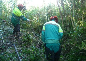 Actuacións de limpeza e conservación no río Postillón de Cangas