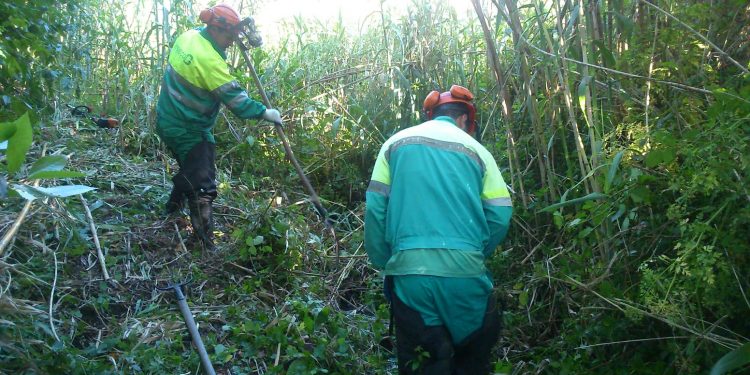 Actuacións de limpeza e conservación no río Postillón de Cangas